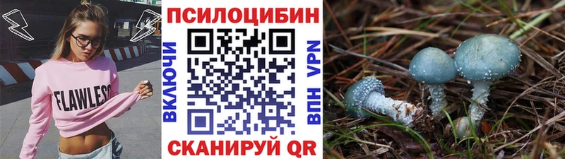 Галлюциногенные грибы MAGIC MUSHROOMS даркнет сайт Советск
